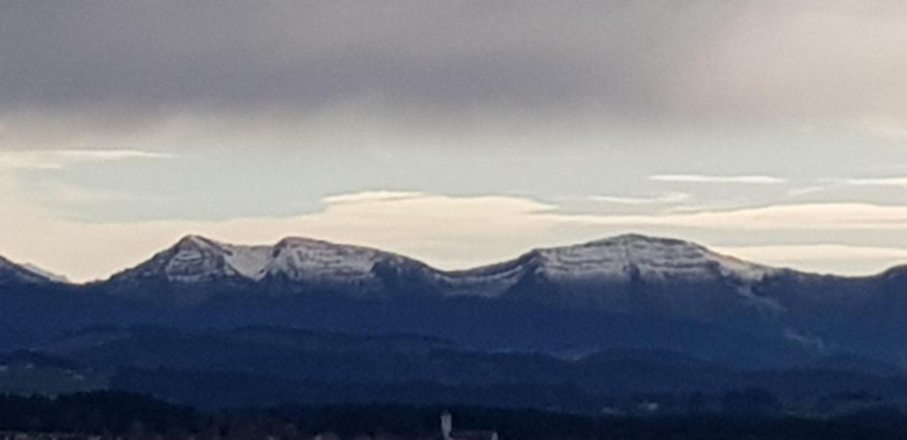 Alpenblick Lejlighed Leutkirch im Allgäu Eksteriør billede
