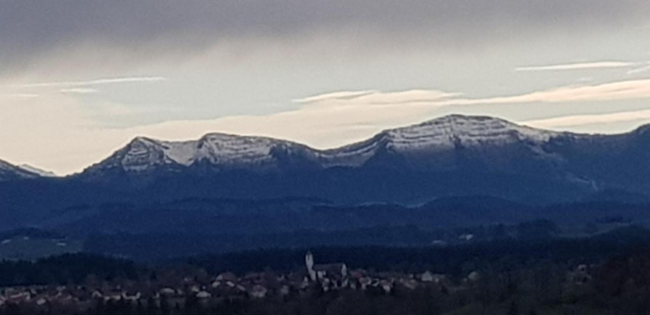 Alpenblick Lejlighed Leutkirch im Allgäu Eksteriør billede