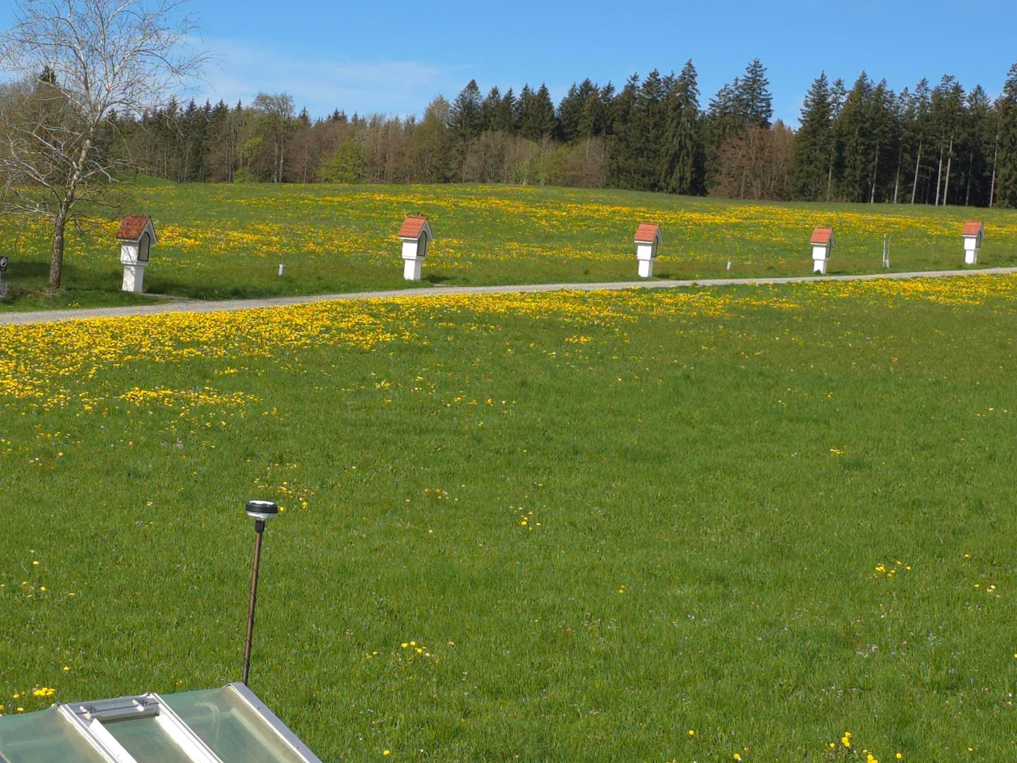 Alpenblick Lejlighed Leutkirch im Allgäu Værelse billede